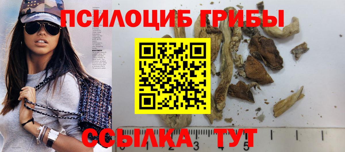 Галлюциногенные грибы Cubensis  Вход с VPN  Асино 